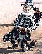 AZ98Jester.jpg